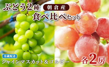 ぶどう シャインマスカット 2房 ゴルビー 2房 食べ比べ 約2kg 配送不可 離島 果物類 フルーツ 果物