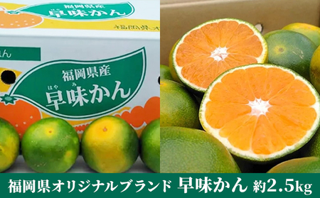 福岡限定 オリジナルブランド みかん「早味かん」約2kg[配送不可:離島] 果物類 柑橘類 フルーツ