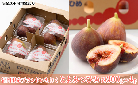 いちじく とよみつひめ 福岡限定 ブランド 約300g×4パック 配送不可 北海道 東北 沖縄 離島 果物詰合せ フルーツ