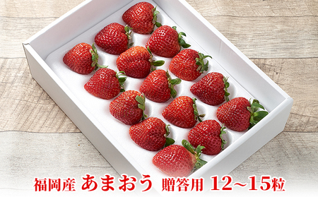 いちご あまおう 贈答用 12〜15粒 福岡のいちご 苺 本来の酸味と甘み! 配送不可 離島