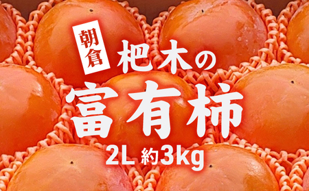 柿 かき 富有柿 3kg 2L サイズ 10〜12個入り 朝倉 杷木の富有柿 カキ フルーツ 果物