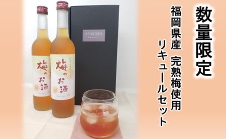 [数量限定]梅のお酒 500ml×2本セット