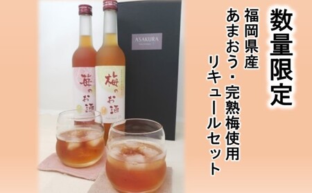 [数量限定]濃いめのお酒 飲み比べ 500ml×2本セット(苺のお酒/梅のお酒) 洋酒 リキュール