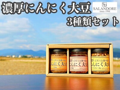 濃厚にんにく大豆_3種類セット 加工食品 豆類 大豆ミート