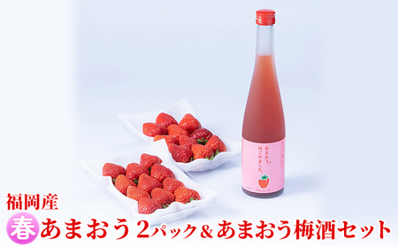 いちご あまおう 2パック 春 &あまおう梅酒 あまおうはじめました。 500ml×1本セット 配送不可 離島