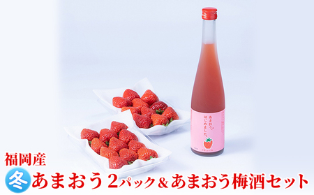 いちご あまおう 2パック 冬&あまおう梅酒 あまおうはじめました。 500ml×1本セット 配送不可 離島