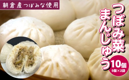 つぼみ菜まんじゅう 10個(80g×5個入×2袋)冷凍 肉まん 豚まん 惣菜 蕾菜 野菜 電子レンジ ※配送不可:離島