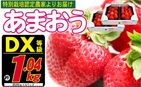 あまおう DX等級のみ 約1.04kg 約260g×4パック ※配送不可:北海道・東北・沖縄・離島