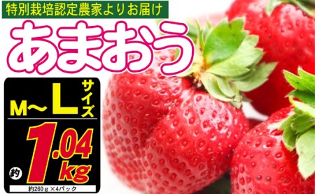 あまおう M〜L 約1.04kg 約260g×4パック ※配送不可:北海道・東北・沖縄・離島