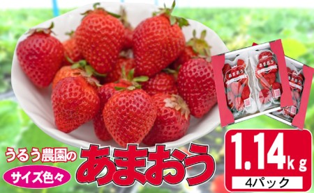 いちご 2024年12月より発送 うるう農園のあまおう サイズ色々4パック 約1.14kg※配送不可:離島