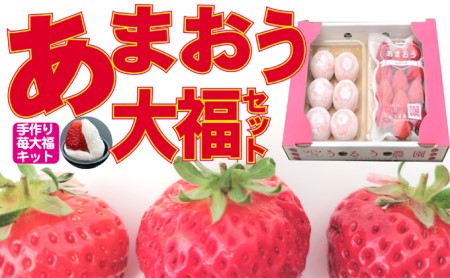 いちご 2024年12月より発送 うるう農園のあまおう大福キット(あまおう1パック+大福6個セット)※配送不可:離島