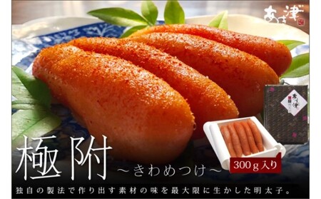 hqq VR q ɕ ߂ 300g zs  ԂԊ ɂ߂ p Mtg т̂ Ђ ①