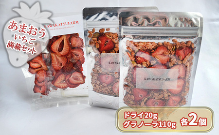 ドライフルーツ グラノーラ セット あまおうドライ 20g×2+いちごいちごいちごあまおうグラノーラ 2パック セット