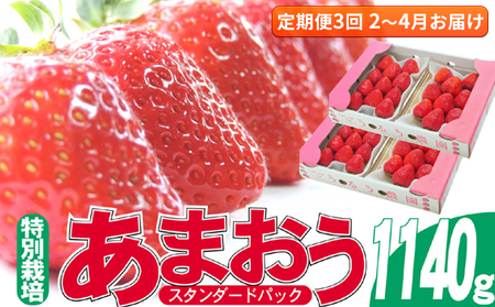 定期便 3回 いちご 発送時期 2025年2月〜4月 うるう農園のあまおう スタンダード4パック 約1.14kg 配送不可 離島