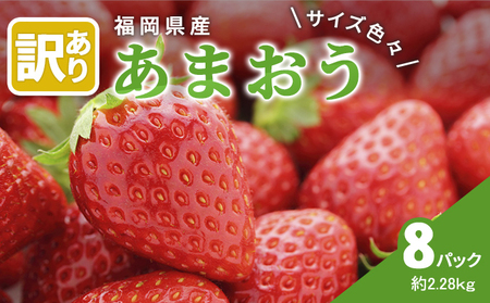 訳あり いちご 2026年2月下旬より発送 あまおう サイズ色々 8パック 約2.28kg 配送不可 離島 果物 フルーツ 福岡県特産 デザート おやつ 産地直送
