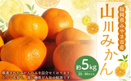 A282 山川みかん 5kg（2S～Mサイズ） みかん 山川みかん 果物 フルーツ 柑橘 糖度 甘い  【2024年12月上旬～12月下旬発送予定】