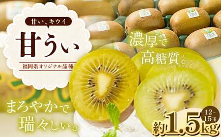福岡県産 ブランドキウイ・甘うぃ 約1.5kg(12〜15玉) [2025年10月下旬〜12月上旬発送予定] キウイ 果物 くだもの フルーツ