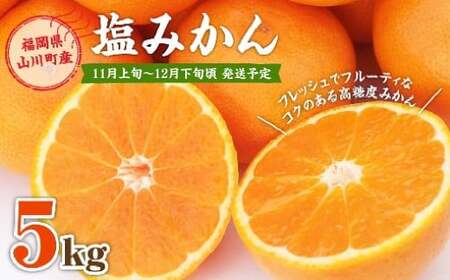 福岡県山川産 塩みかん 5kg [2025年11月上旬〜12月下旬発送予定] 蜜柑 花藻塩