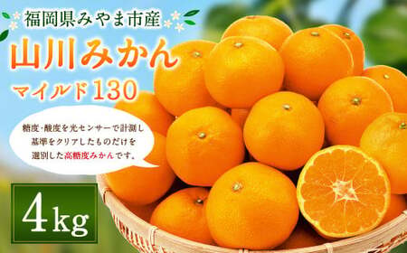 A2 山川 みかん マイルド130 4kg 数量限定 蜜柑 山川みかん ミカン 厳選 [2025年11月上旬〜12月上旬迄順次発送予定]