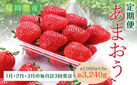 C20[3回定期便]あまおう いちご (約270g×4パック)×3回 合計約3,240g [2026年1月下旬に第1回目発送予定]
