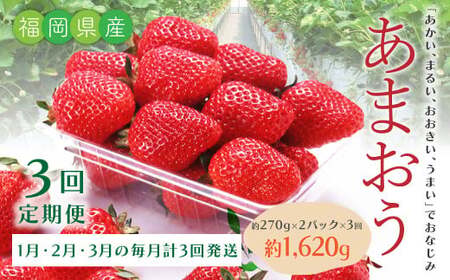 B52[3回定期便] あまおういちご (約270g×2パック)✕3回 合計約1,620g [2026年1月下旬に第1回目発送予定] 定期 あまおう いちご ギフト フルーツ 果物 福岡県 みやま市
