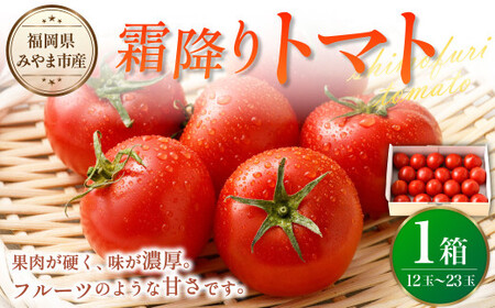 霜降りトマト 1箱(12玉から23玉 1kg以上)[2026年2月下旬〜5月下旬まで順次発送予定] とまと トマト 霜降り 野菜