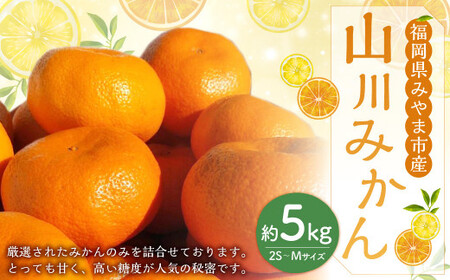 山川みかん 5kg(2S〜Mサイズ) みかん 山川みかん 果物 フルーツ 柑橘 糖度 甘い [2025年12月上旬〜2026年1月下旬まで順次発送予定]