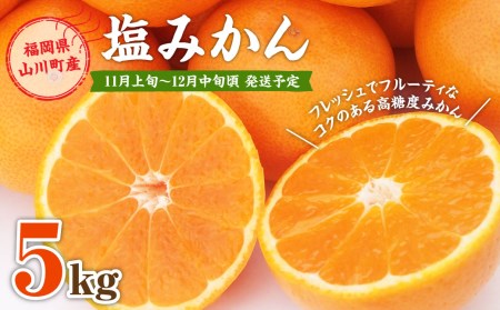 福岡県山川産 塩みかん 5kg [2024年11月上旬〜12月上旬発送予定] 蜜柑 花藻塩