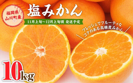 A158 福岡県山川産 塩みかん 10kg 【2024年11月上旬～12月上旬発送予定】 蜜柑 花藻塩