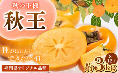 C21 福岡県産 ブランド柿・秋王 約3kg(8〜12玉) [2024年10月上旬〜11月下旬発送予定] 柿 甘柿 秋王 果物 くだもの フルーツ