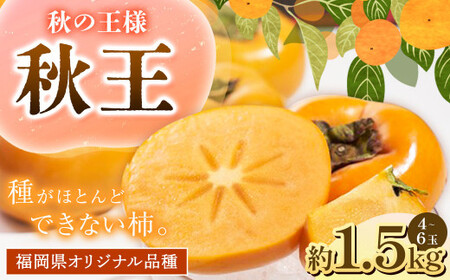 福岡県産 ブランド柿・秋王 約1.5kg(4〜6玉) [2024年10月上旬〜11月下旬発送予定] 柿 甘柿 秋王 果物 くだもの フルーツ