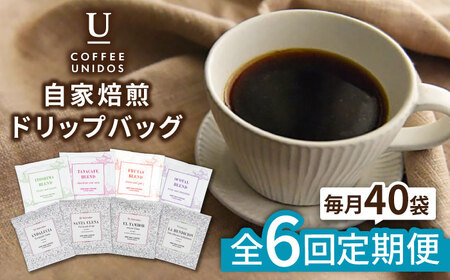 yS6ցzR[q[ hbv obO 40 Zbg ( 8 × 5 ) s / COFFEE UNIDOS [AQF019]