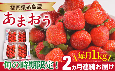 [先行予約][全2回定期便][2024年12月より順次発送] 糸島産[冬] あまおう 4パック 毎月計1kg 糸島市 / 南国フルーツ株式会社 [AIK024] いちご 苺 イチゴ あまおう 果物 フルーツ ストロベリー グルメ パフェ ケーキ パンケーキ 苺 ギフト 贈り物 博多あまおう 福岡 九州いちご 糸島 イチゴ ギフト 贈答 クリスマス ケーキ タルト 先行予約 先行受付 贈り物 プレゼント 定期便 果物 毎月 4パック 九州 博多