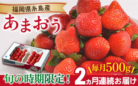 [先行予約][全2回定期便][2024年12月より順次発送]糸島産[冬] あまおう 2パック 毎月計500g 糸島市 / 南国フルーツ株式会社 [AIK025] いちご 苺 イチゴ あまおう 果物 フルーツ ストロベリー グルメ パフェ ケーキ パンケーキ 苺 ギフト 贈り物 博多あまおう 福岡 九州いちご 糸島 イチゴ ギフト 贈答 クリスマス ケーキ タルト 先行予約 先行受付 贈り物 プレゼント 定期便 果物 毎月 2パック 九州 博多