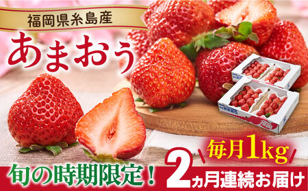 [先行予約][全2回定期便][2025年2月より順次発送]糸島産[春] あまおう 4パック 計1kg 糸島市 / 南国フルーツ株式会社 [AIK026] いちご 苺 イチゴ あまおう 果物 フルーツ ストロベリー グルメ パフェ ケーキ パンケーキ 苺 ギフト 贈り物 博多あまおう 福岡 九州いちご 糸島 イチゴ ギフト 贈答 ケーキ タルト 先行予約 先行受付 贈り物 プレゼント 定期便 果物 毎月 4パック 九州 博多