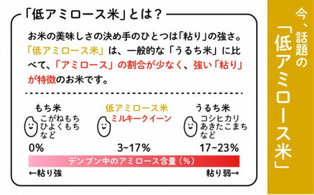 [令和7年産新米][ 3回 定期便 ]ミルキークイーン 5kg [糸島][ 玄米 ・ 精米 専門店 新飼宗一郎商店] 