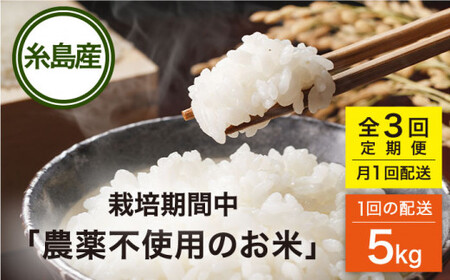 [全3回(月1回)定期便] 栽培期間中 農薬不使用のお米 ヒノヒカリ 5kg 糸島市 シーブ [AHC041] 米 定期便