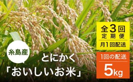 yS3(1)ցzƂɂ Ђ̂Ђ ܂ ɂ܂ 5kg s V[u [AHC047]