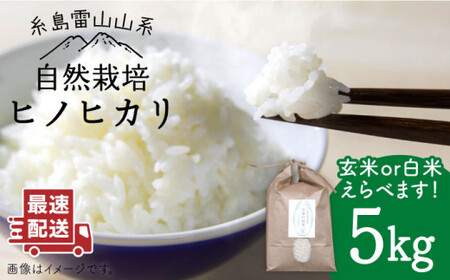 [新米先行予約]＼令和6年産/自然栽培 ヒノヒカリ 5kg [糸島市][大石ファーム][ATE001] 白米5キロ 白米お米 白米5kg 白米送料無料 白米ギフト 白米米 白米もちもち 白米やわらかい 白米お弁当 白米おにぎり