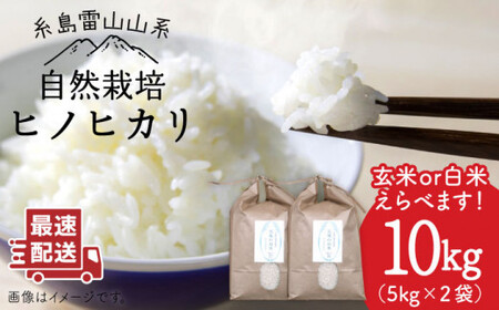 [新米先行予約]＼令和6年産/自然栽培 ヒノヒカリ 10kg [糸島市][大石ファーム][ATE002] 白米10kg 白米お米 白米10キロ 白米送料無料 白米ギフト 白米米 白米もちもち 白米やわらかい 白米お弁当 白米おにぎり