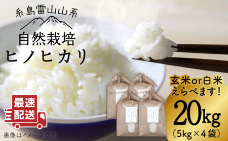 [新米先行予約]＼令和6年産/自然栽培 ヒノヒカリ 20kg [糸島市][大石ファーム][ATE003] 白米お米 白米20kg 白米20キロ 白米送料無料 白米ギフト 白米米 白米もちもち 白米やわらかい 白米お弁当 白米おにぎり