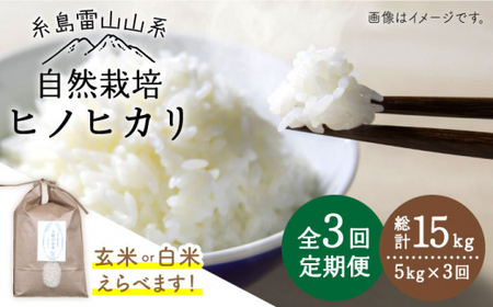 [ 全3回 定期便 ] 自然栽培 ヒノヒカリ 5kg [糸島市][大石ファーム][ATE017] 白米お米 白米5kg 白米5キロ 白米送料無料 白米ギフト 白米米 白米定期便 白米もちもち 白米やわらかい 白米お弁当 白米おにぎり