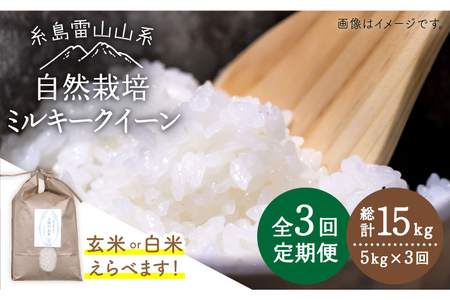 [ 全3回 定期便 ]糸島産 ミルキークイーン 5kg 自然栽培 [糸島市][大石ファーム][ATE026] 白米お米 白米5kg 5キロ 送料無料 ギフト 白米米 定期便 もちもち やわらかい お弁当 おにぎり