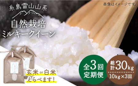 [ 全3回 定期便 ]糸島産 ミルキークイーン 10kg 自然栽培 [糸島市][大石ファーム][ATE029] 白米お米 白米10kg 10キロ 送料無料 ギフト 白米米 定期便 もちもち やわらかい お弁当 おにぎり