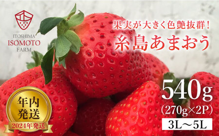 [2024年・年内発送]糸島の美味いあまおう(270g×2パック)A品B品含む3L〜5L[磯本農園]いちご/イチゴ/苺/家庭用 [ATB021] ランキング 上位 人気 おすすめ 12月発送 いちごいちごいちごいちごいちごいちごいちごいちご