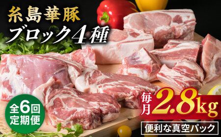 yS6ցzy 荇킹 z ؓ ubN 4iZbg 2.8kg s / ~[gfH[ [ACA279]