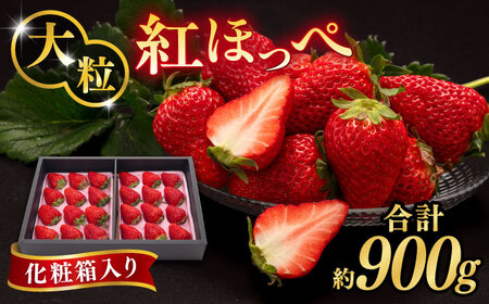 糸島産 紅ほっぺ 800-900g 糸島市 / 平山農園 [AXN001] いちご 苺 べにほっぺ フルーツ 果物