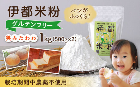伊都 米粉 笑みたわわ 1kg 500g×2 糸島市 / フルタク [AHN008] 米粉 米粉 米粉 米粉 米粉 米粉 米粉 