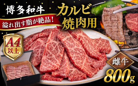 [A4〜A5 等級]博多和牛 カルビ 焼肉用 800g 糸島市 / ヒサダヤフーズ [AIA051] 黒毛和牛 冷凍配送 焼肉用