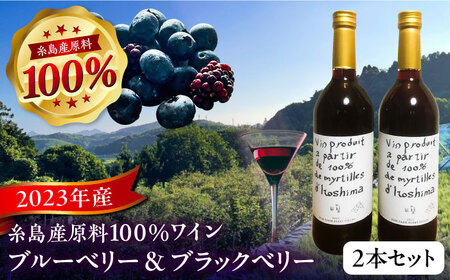 2023年産 糸島産ブルーベリー・ブラックベリーワイン 720ml×2種セット 糸島市 / HYM FARM ワイン ブルーベリー [AHM002] ワインワインワインワインワインワインワインワイン